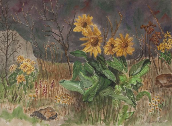 Watercolor by Louis Kollmeyer titled “Balsamroot”, 21.5 × 29 inches