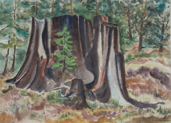 Watercolor by Louis Kollmeyer titled “Forest Regeneration”, 29 × 21 inches