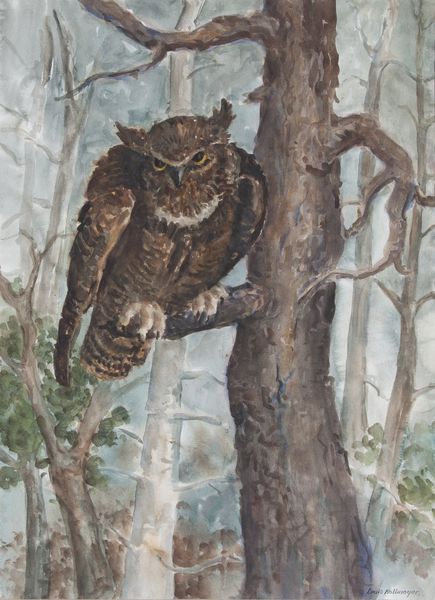 Watercolor by Louis Kollmeyer titled “Great Horned Owl”, 21 × 29 inches
