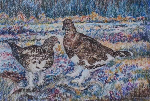 Pencil & Pastel by Louis Kollmeyer titled “Ptarmagan in Full Plumage”, 18 × 12 inches