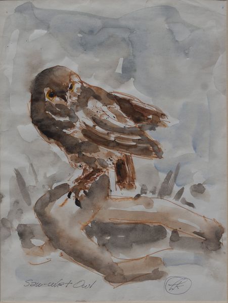 Whet Owl by Louis Kollmeyer titled “Saw”, 8.5 × 11.25 inches