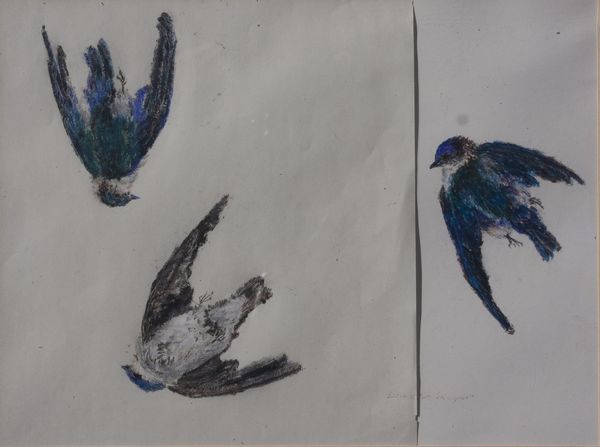 Oil Pastel by Louis Kollmeyer titled “Tree Swallow”, 14.5 × 11.5 inches