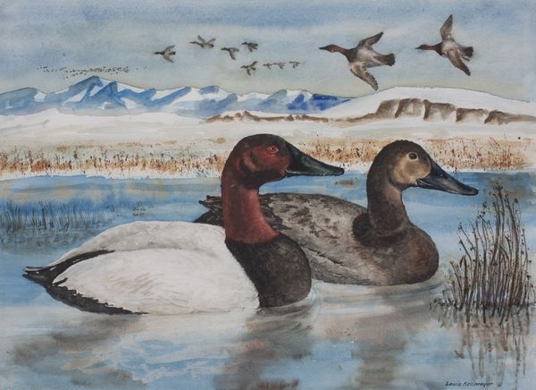 Watercolor by Louis Kollmeyer titled “Canvasbacks”, 19 × 14 inches
