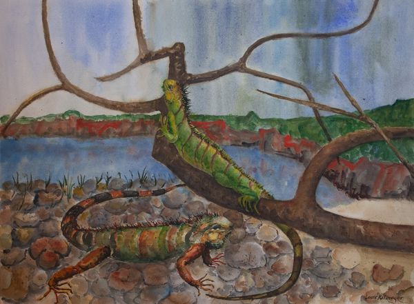 Watercolor by Louis Kollmeyer titled “Untitled (Iguanas)”, 29 × 21 inches